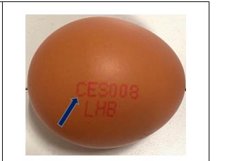 【シンガポールのFood News】マレーシアからの卵（一部）にサルモネラ菌付着、商品回収中